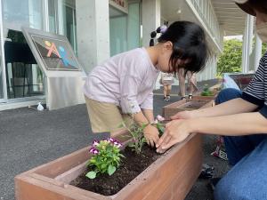 寄せ植えの様子3