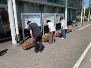 寄せ植えの様子