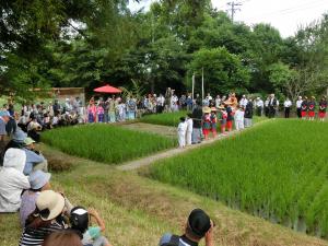 早乙女による田植え（令和７年）