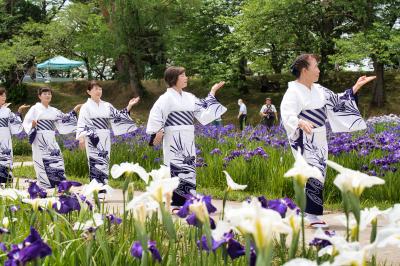 花しょうぶ音頭