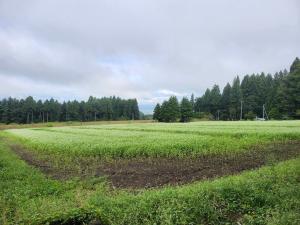 塩川町常世地内