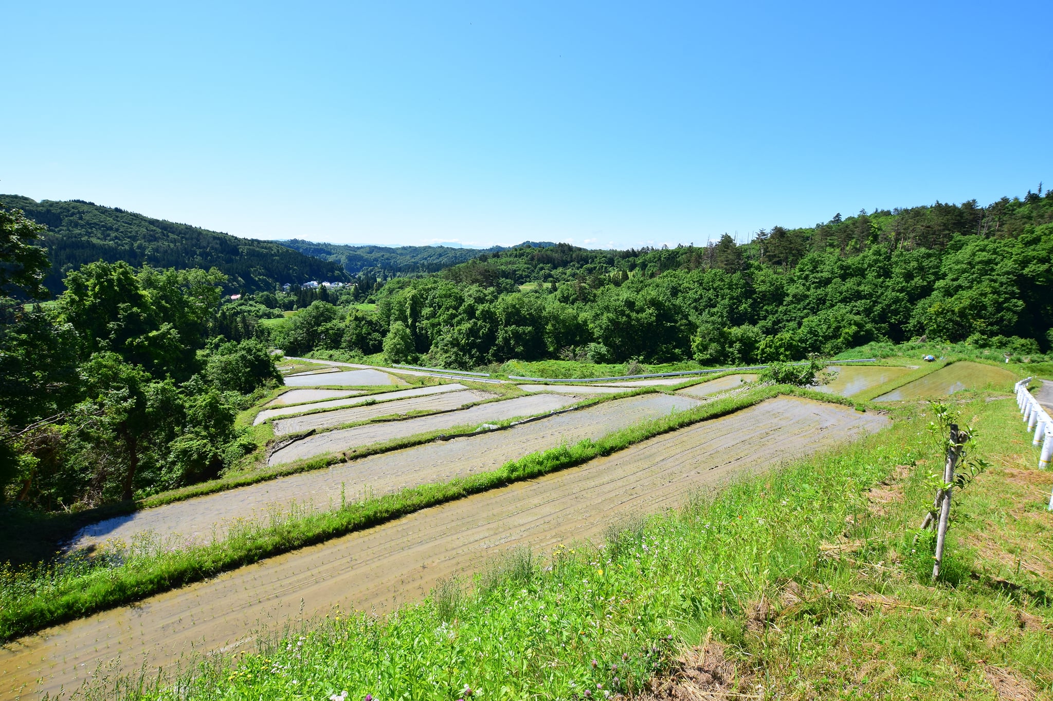 石上峠地区